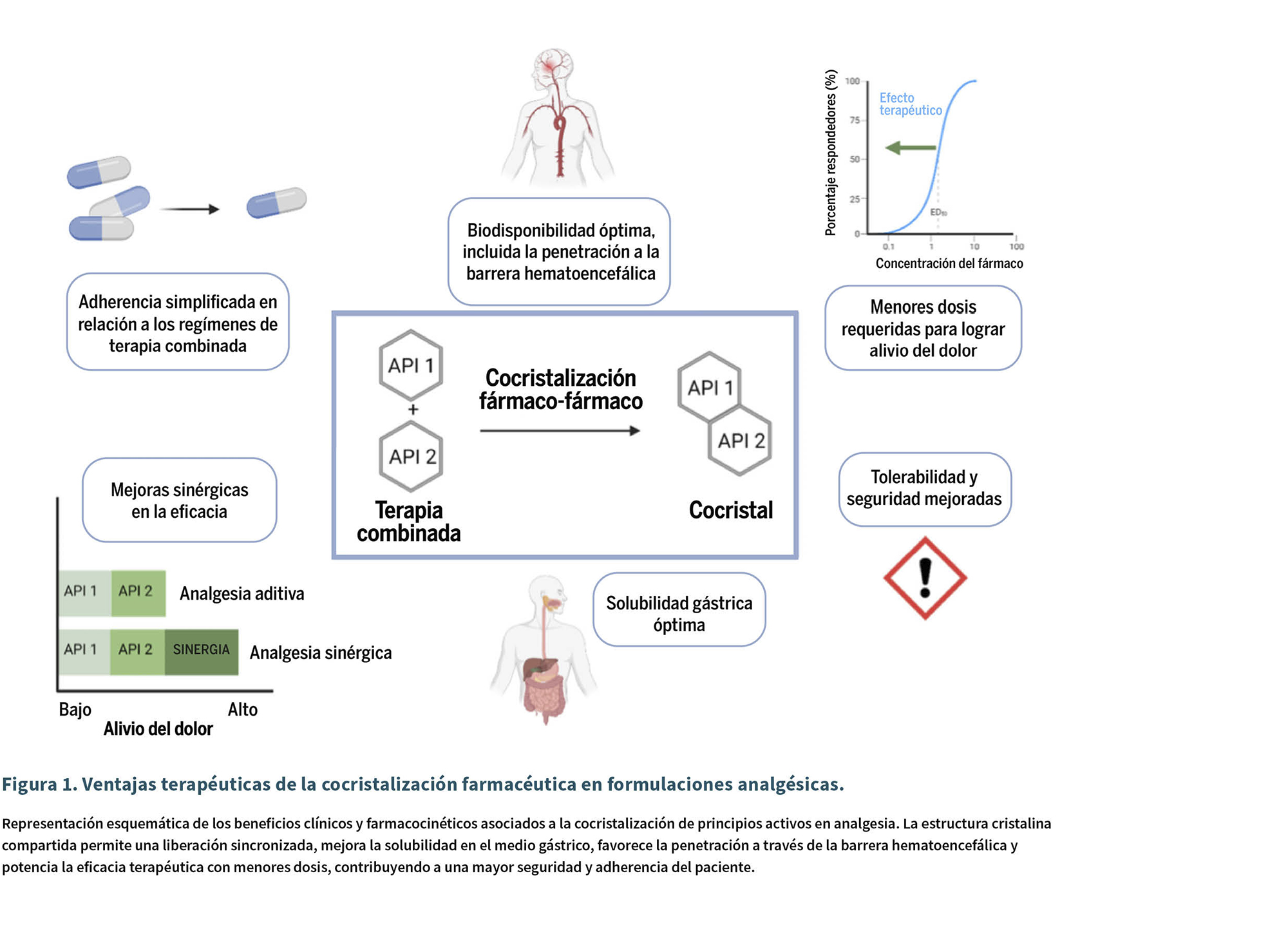 Diagrama que muestra las ventajas terapéuticas de la cocristalización farmacéutica en formulaciones analgésicas destacando la mejora en la biodisponibilidad, solubilidad gástrica, tolerabilidad, seguridad, y sinergia en la eficacia para el alivio del dolor.
Descripción generada con IA