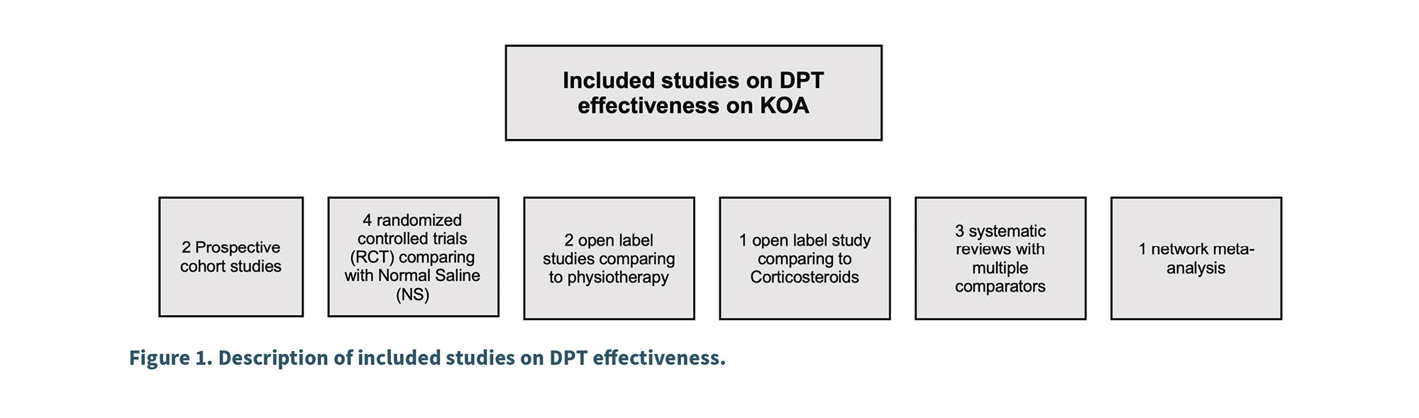 Diagrama de flujo que muestra diferentes tipos de estudios incluidos sobre la efectividad del DPT en KOA, organizados en seis categorías principales.
Descripción generada con IA