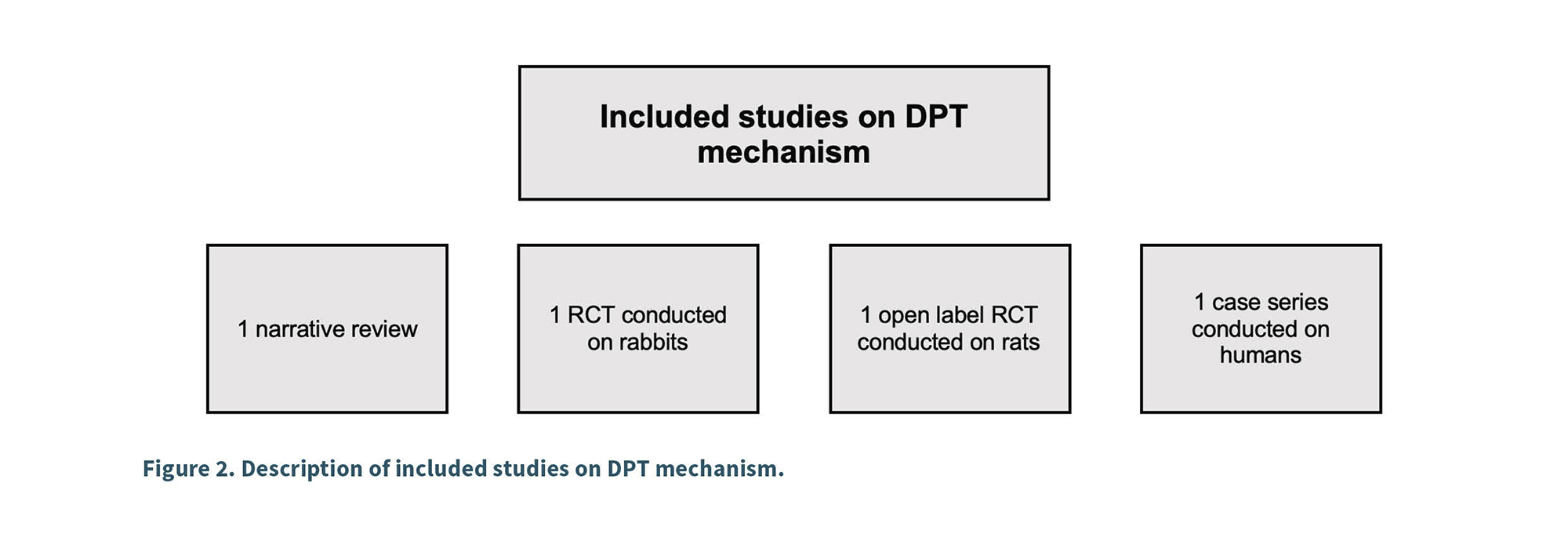 Diagrama que muestra estudios incluidos sobre el mecanismo de DPT con diferentes tipos de revisiones y ensayos realizados en conejos, ratas y humanos.
Descripción generada con IA