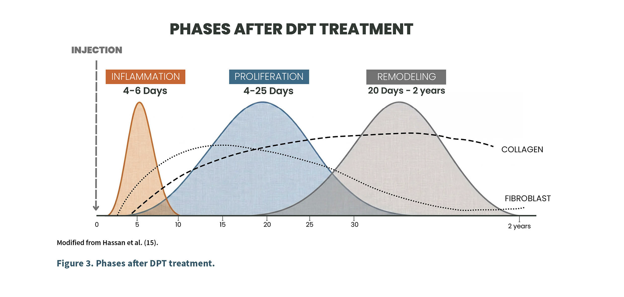Las fases después del tratamiento DPT muestran la inflamación, proliferación y remodelación con sus respectivos tiempos y la relación con colágeno y fibroblastos.
Descripción generada con IA